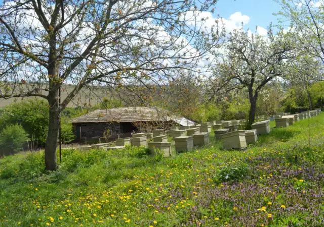 6. Снимка на Къща в село Славяново област Търговище