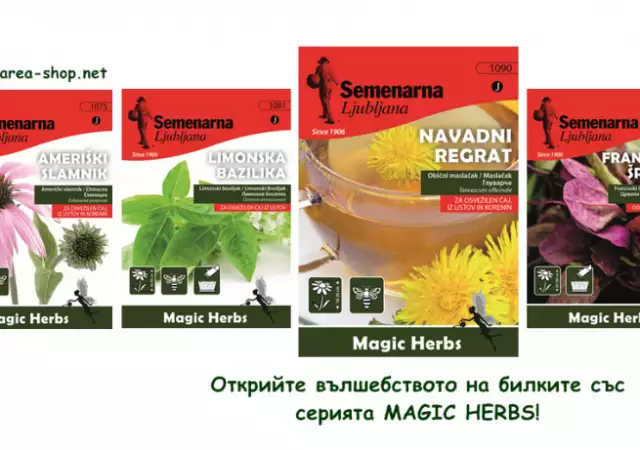 1. Снимка на Семена за билки и подправки Magic Herbs
