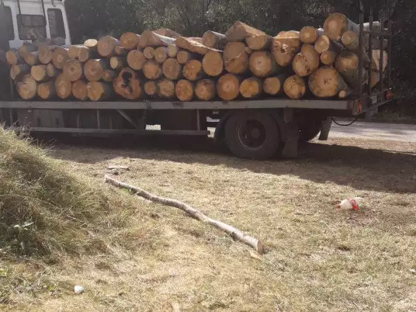 1. Снимка на Продавам дърва за огрев