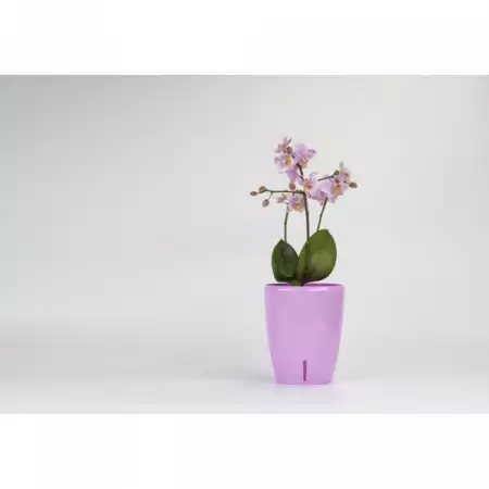 Саксия за орхидея с напоителна система Orchidea Twin SANTINO