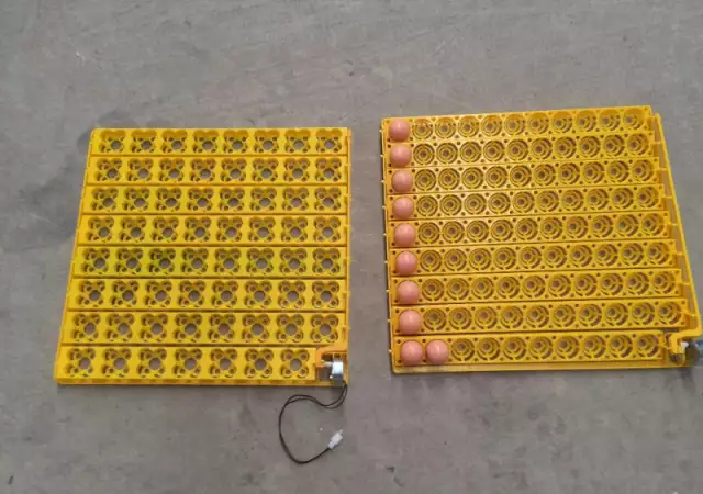 5. Снимка на Инкубатори с Автоматична влажност за птичи яйца