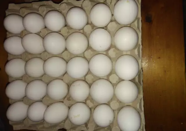 Бял Лехорн яйца