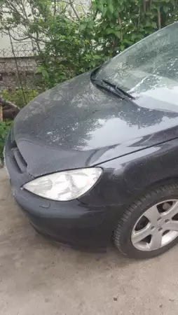 2. Снимка на Peugeot 307 2.0 Бензин; 2004г. - 1 400 лв. Може и на части