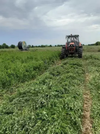 Продавам Люцерна