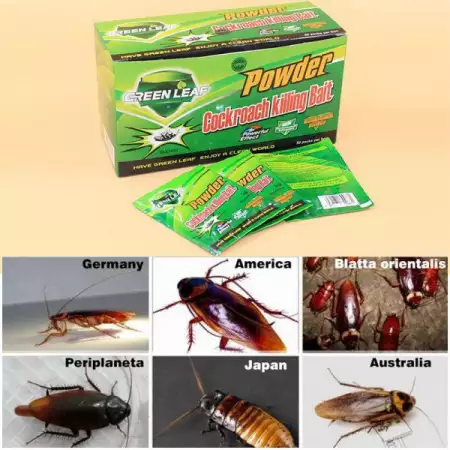1. Снимка на Хлебарки Най - добрият унищожител на хлебарки и мравки в свет