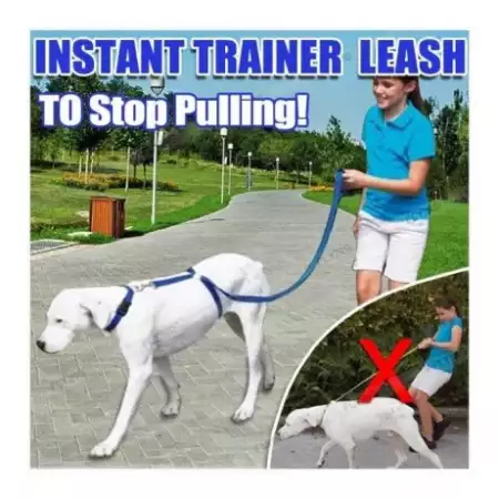 1. Снимка на Instant Trainer - иновативна хуманна каишка повод за кучета