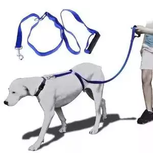 5. Снимка на Instant Trainer - иновативна хуманна каишка повод за кучета