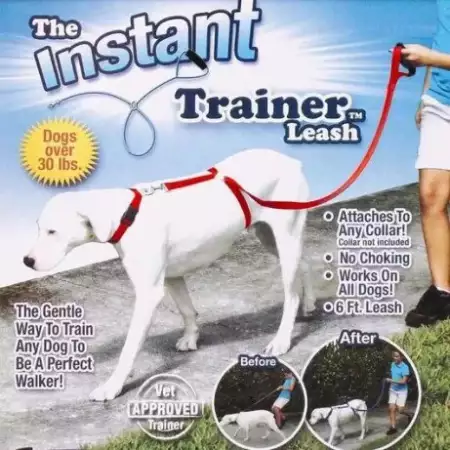 6. Снимка на Instant Trainer - иновативна хуманна каишка повод за кучета