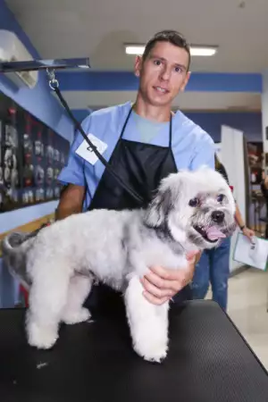 9. Снимка на Подстригване на кучета, салон Куче Нинджа