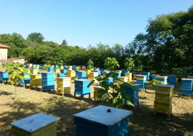 5. Снимка на 100 домашен натурален пчелен мед