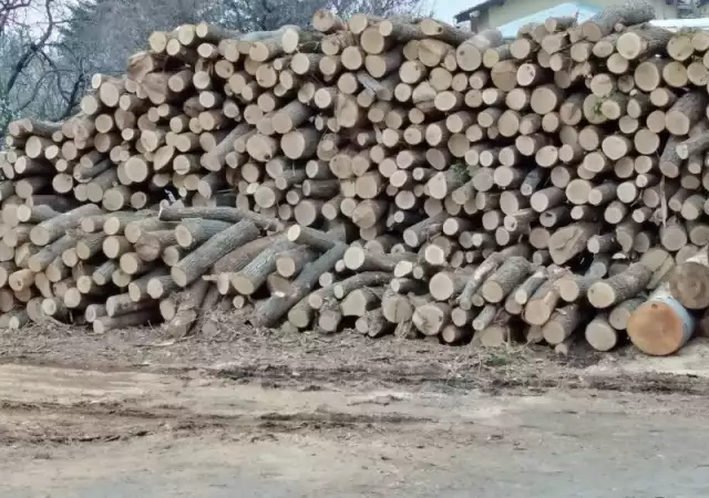 2. Снимка на продавам дърва за огрев реалени и плътне кубици