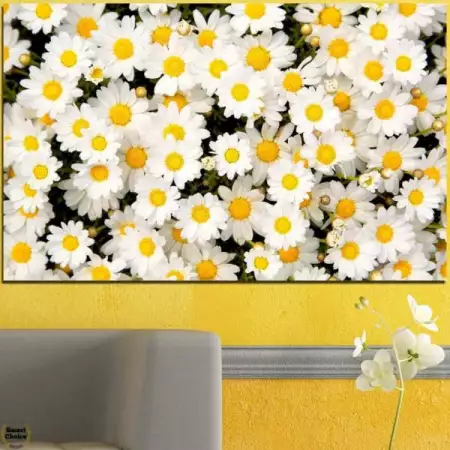 Картина пано за стена от 1 част - Нежно ухание на маргаритки