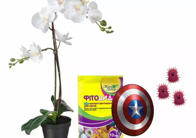 Фитоцид - Р - препарат за защита и подхранване на растения