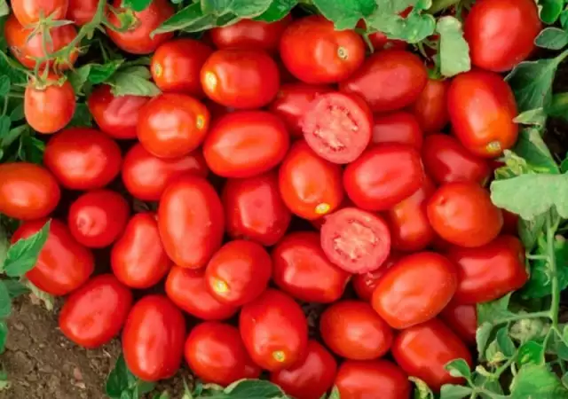 1. Снимка на Продавам домати
