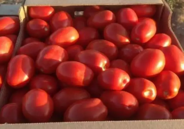 2. Снимка на Продавам домати