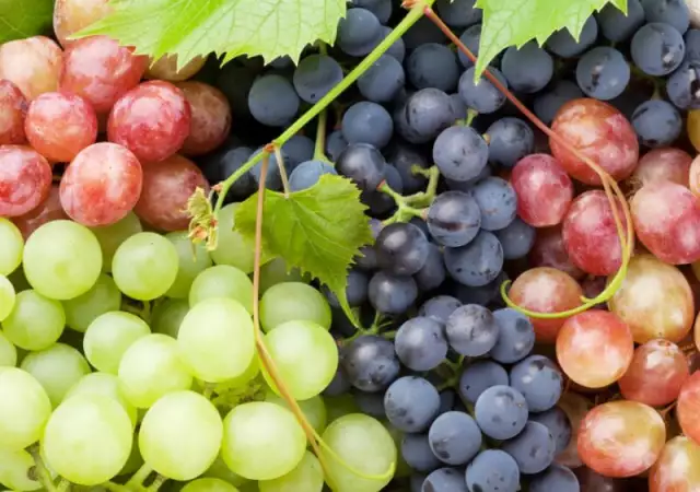 Продавам първокласно грозде реколта 2019 г. - Стара Загора