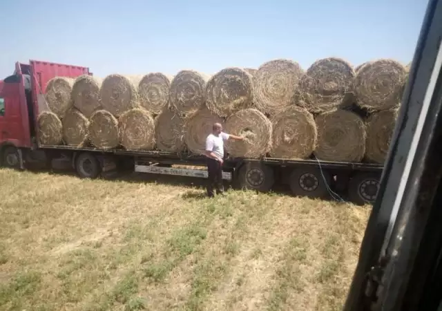 1. Снимка на Продавам сено на рулонни бали регион Пазарджик