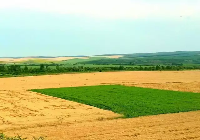 Купувам земеделска земя в община Павликени