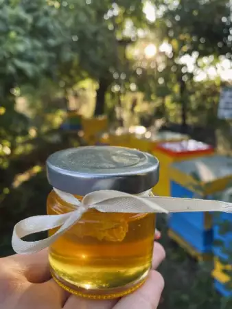 4. Снимка на Продавам пчелен мед