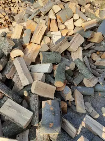 1. Снимка на Продавам дърва за орев
