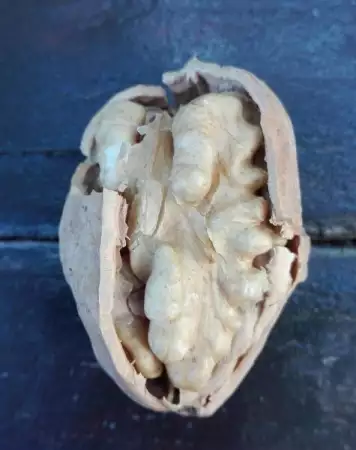 1. Снимка на Орехови ядки, Орехи с черупка на гаци по 5кг