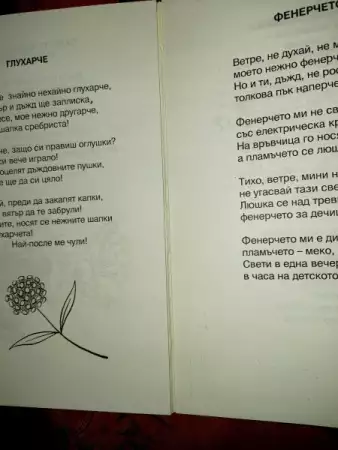 2. Снимка на Дядовата градина - Лиана Даскалова