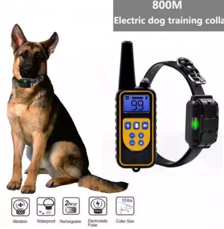 9. Снимка на Електронен нашийник за обучение на куче до 800м. обхват, вод