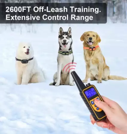 10. Снимка на Електронен нашийник за обучение на куче до 800м. обхват, вод