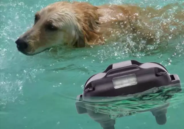 12. Снимка на Електронен нашийник за обучение на куче до 800м. обхват, вод