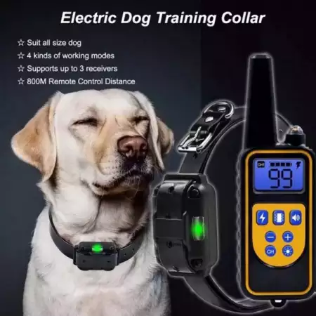 14. Снимка на Електронен нашийник за обучение на куче до 800м. обхват, вод