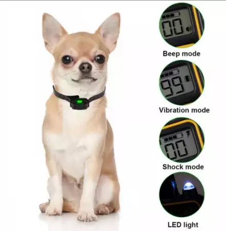 13. Снимка на Електронен нашийник за обучение на куче до 800м. обхват, вод