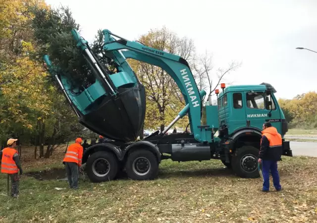 Преместване на дървета