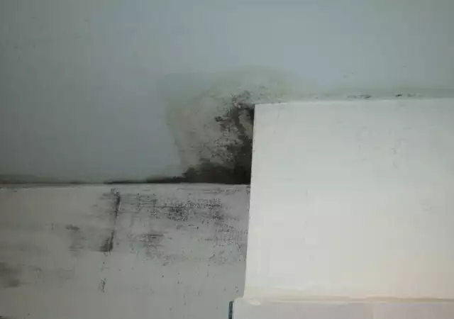 1. Снимка на Откриване на теч от горен етаж. Течове между етажите в София