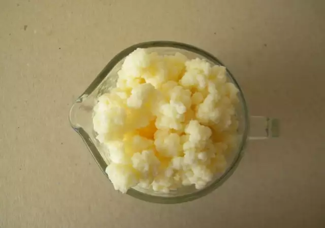 Кефир - Тибетска гъба за здравословна млечно - кисела напитка
