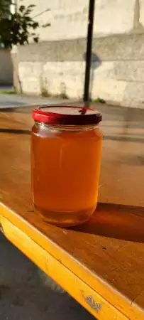 4. Снимка на Пчелен мед