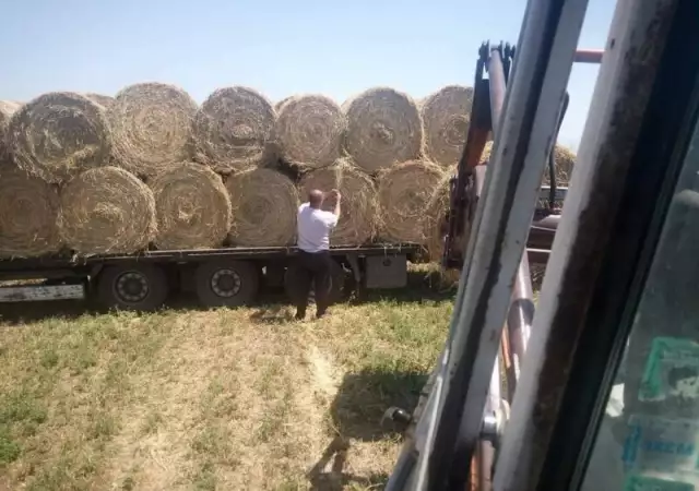1. Снимка на Продавам сено на ролонни бали регион Пазарджик 0879056651