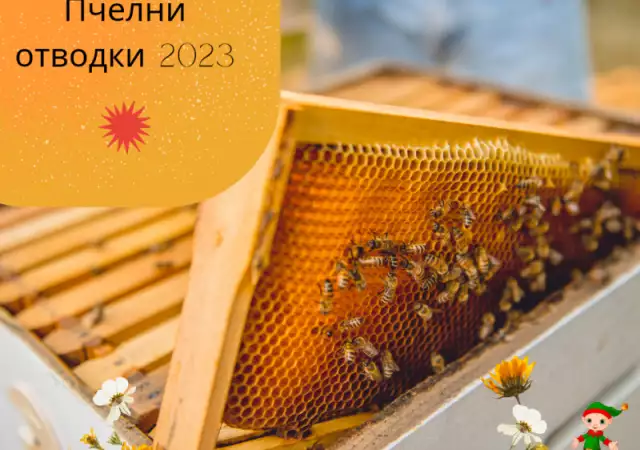 Продавам пчелни отводки 2023