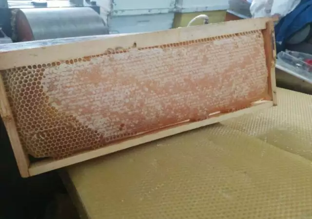 1. Снимка на Пчелен мед