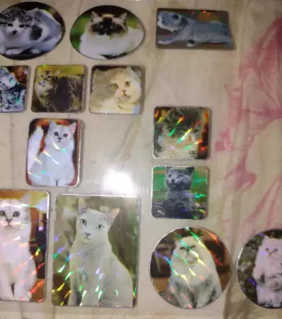 2. Снимка на 35 лепенки със сладки котенца