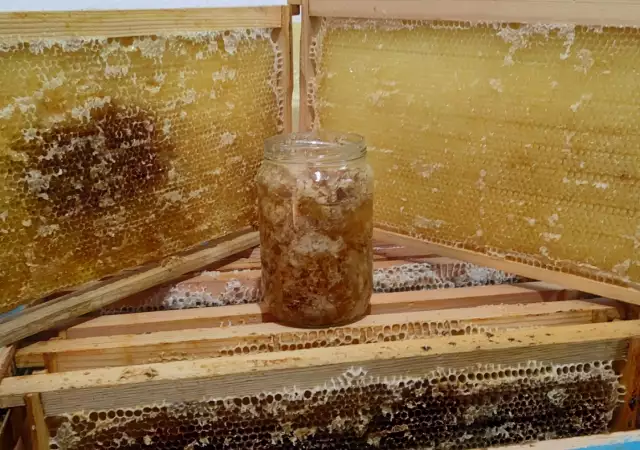 7. Снимка на Пчеларски инвентар