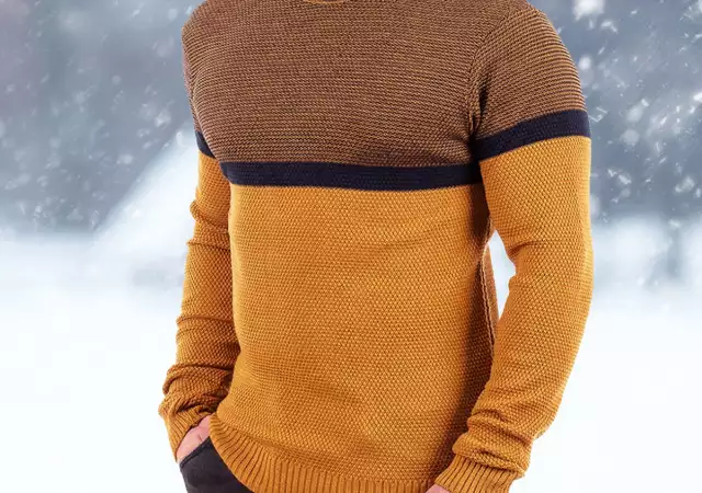 Мъжки пуловер 2403 Lake