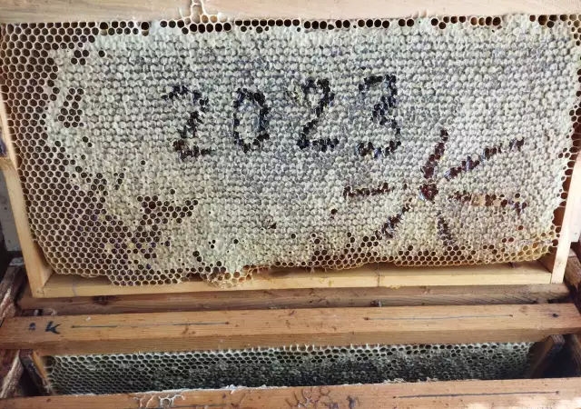2. Снимка на Продавам висококачествен пчелен мед