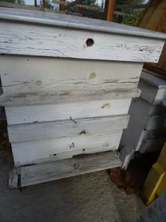 1. Снимка на Пчелни Кошери , Дадан - Блат 12 - рамкови с магазин