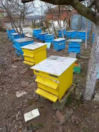 Продавам пчелни плодникови рамки