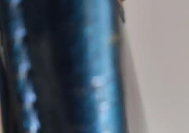 4. Снимка на Дамска синя , лачена чанта , с две отделения