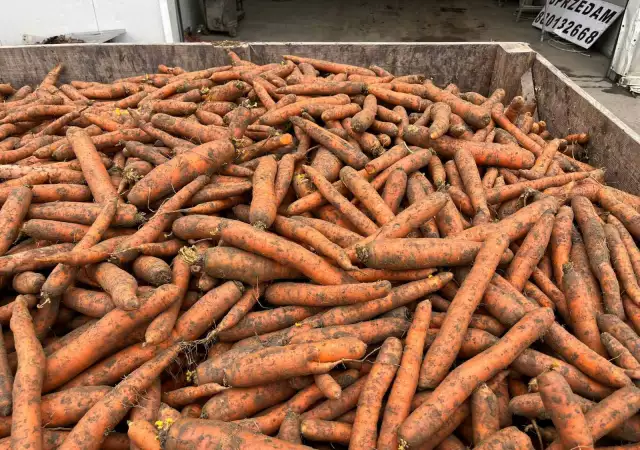 1. Снимка на Морков Търговско или индустриално качество
