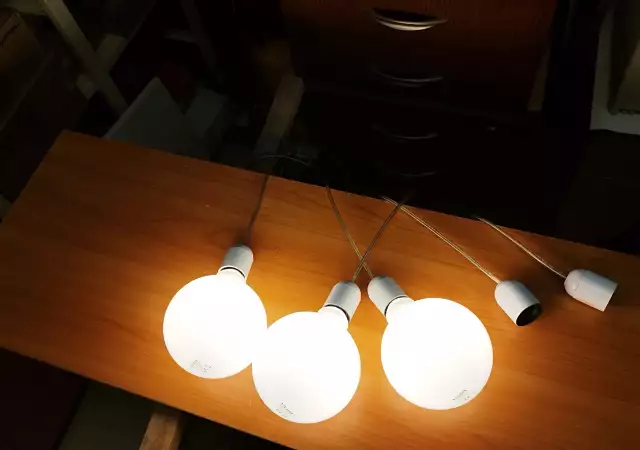 9. Снимка на LED лампи филаментни, опал G125 VIVALUX 3бр с фасунги