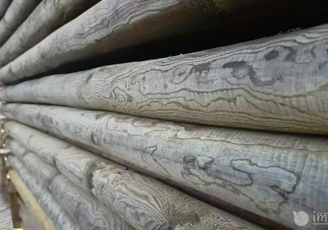 Импрегнирани дървени колове на склад