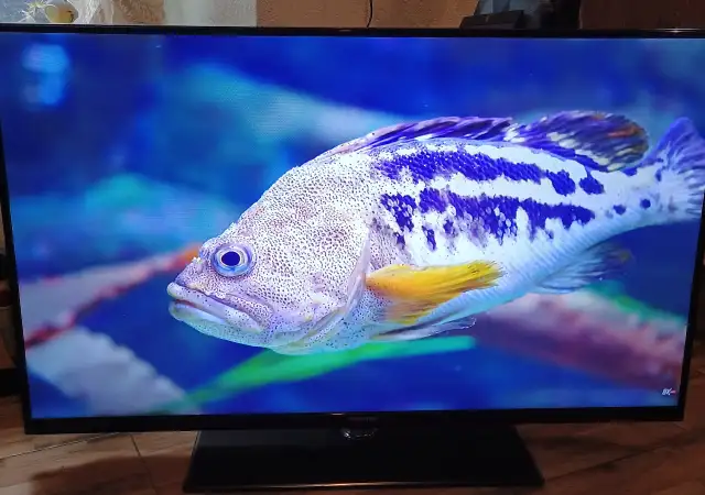 6. Снимка на телевизор Hisense LED Backlight TV; модел LTDN50K166WSEU