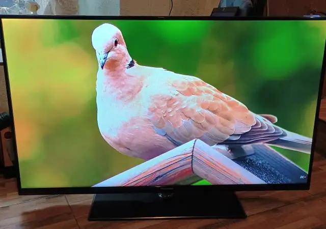 7. Снимка на телевизор Hisense LED Backlight TV; модел LTDN50K166WSEU